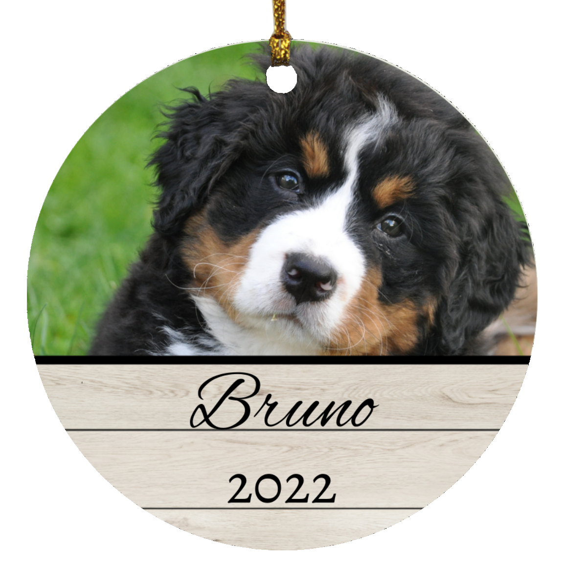 Personalized Pet Picture & Year Circle Ornament
