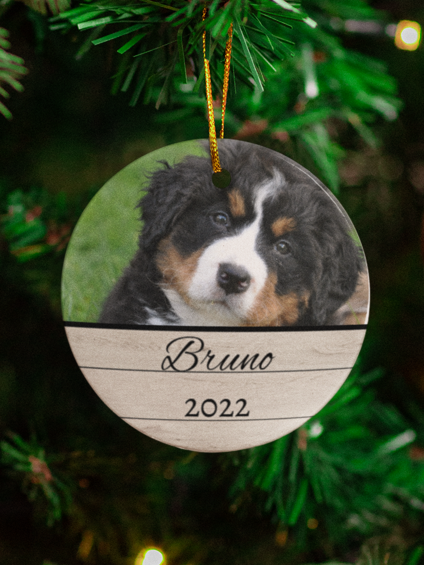 Personalized Pet Picture & Year Circle Ornament